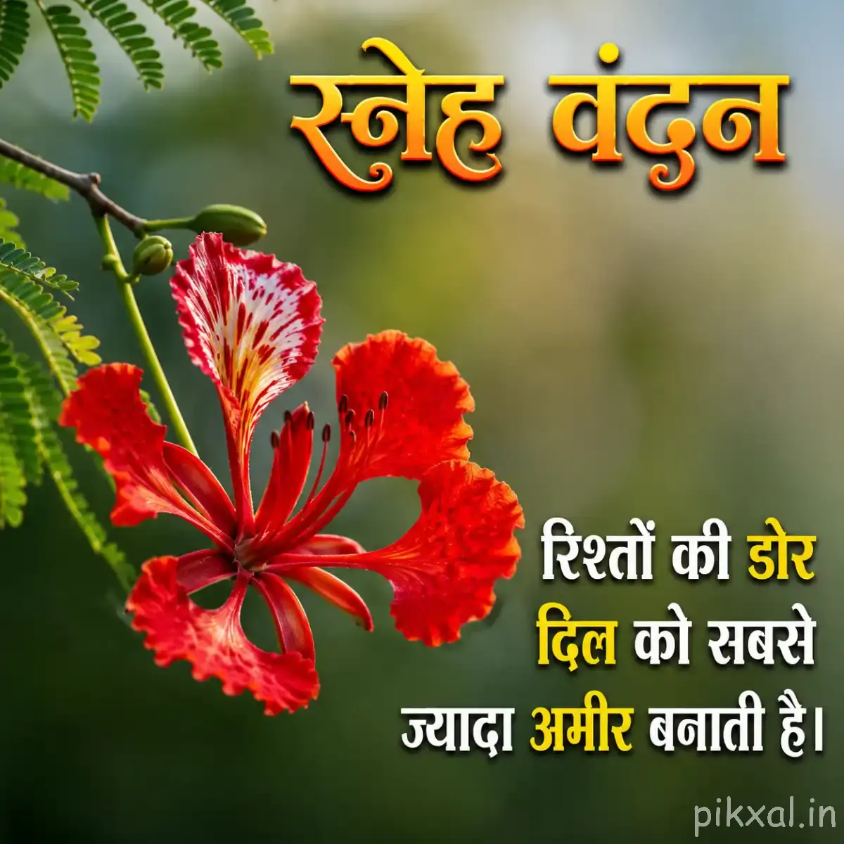 Red striped flowers with leafy branches and a Hindi morning quote