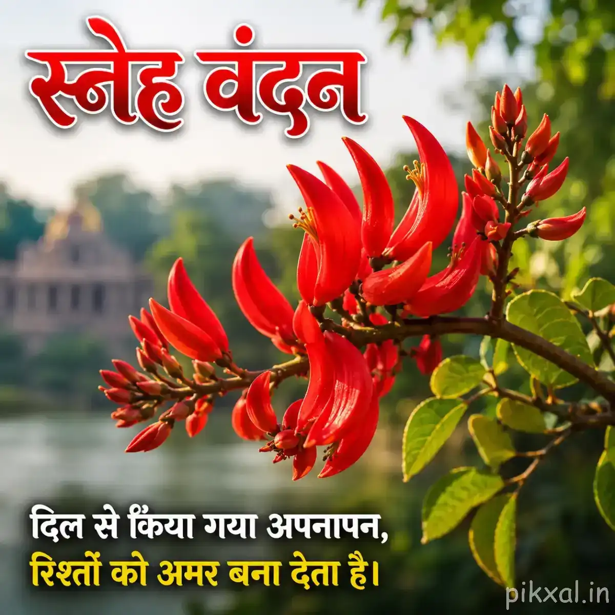Several red flowers with elongated petals and prominent stamens growing along a leafy branch