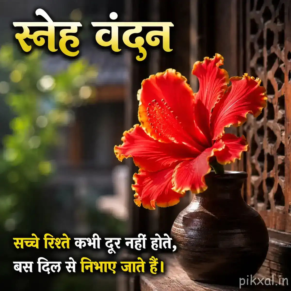 Single red flower with broad ruffled petals displayed in a dark vase beside green foliage