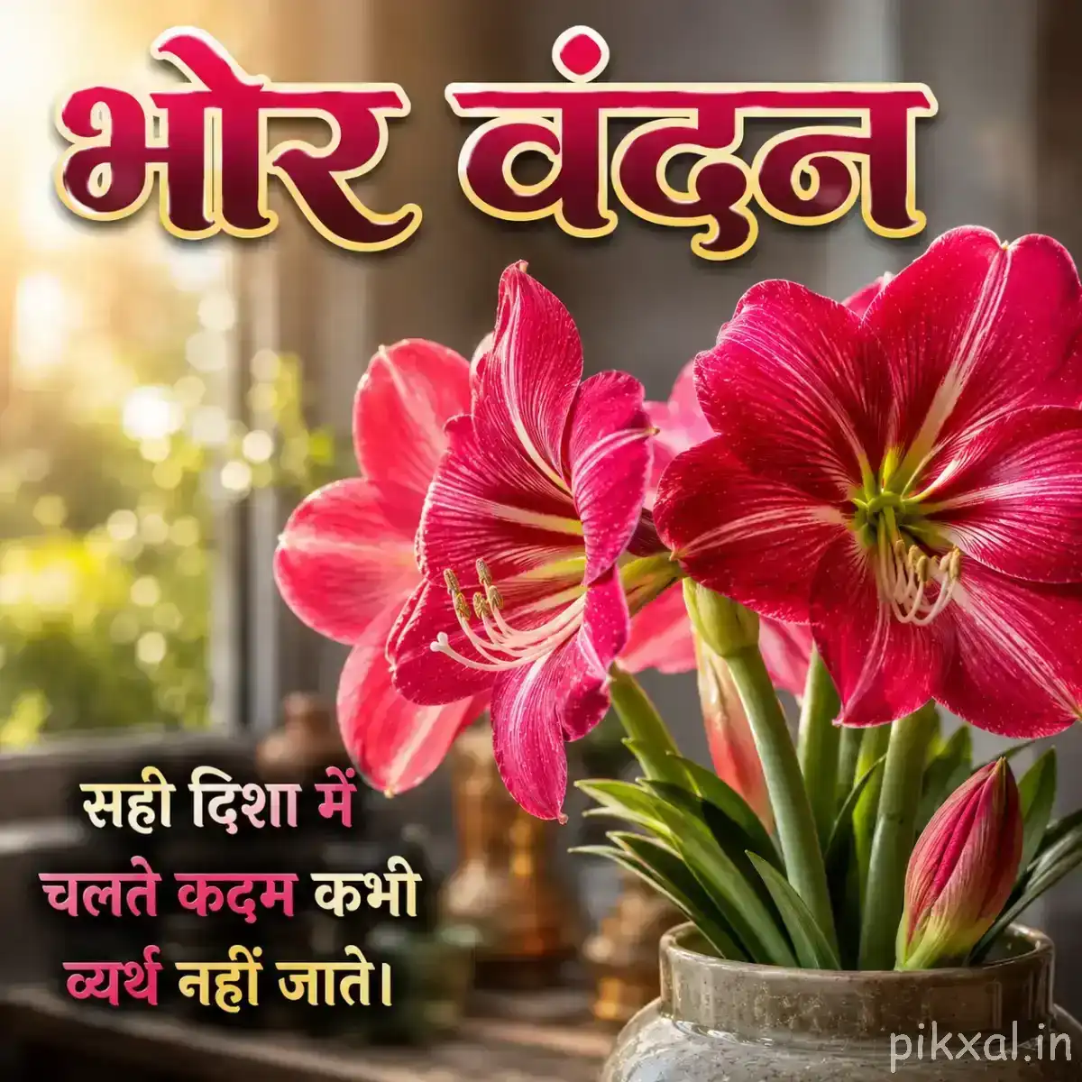 Three pink and red flowers with layered petals and pale streaks arranged in a vase