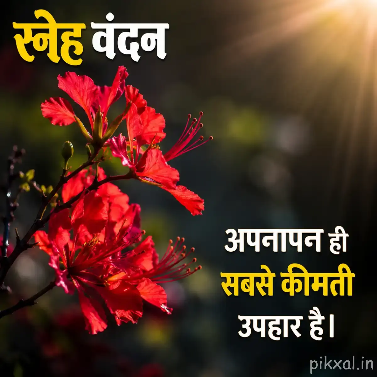 Red flowers on a branch with a Hindi morning message