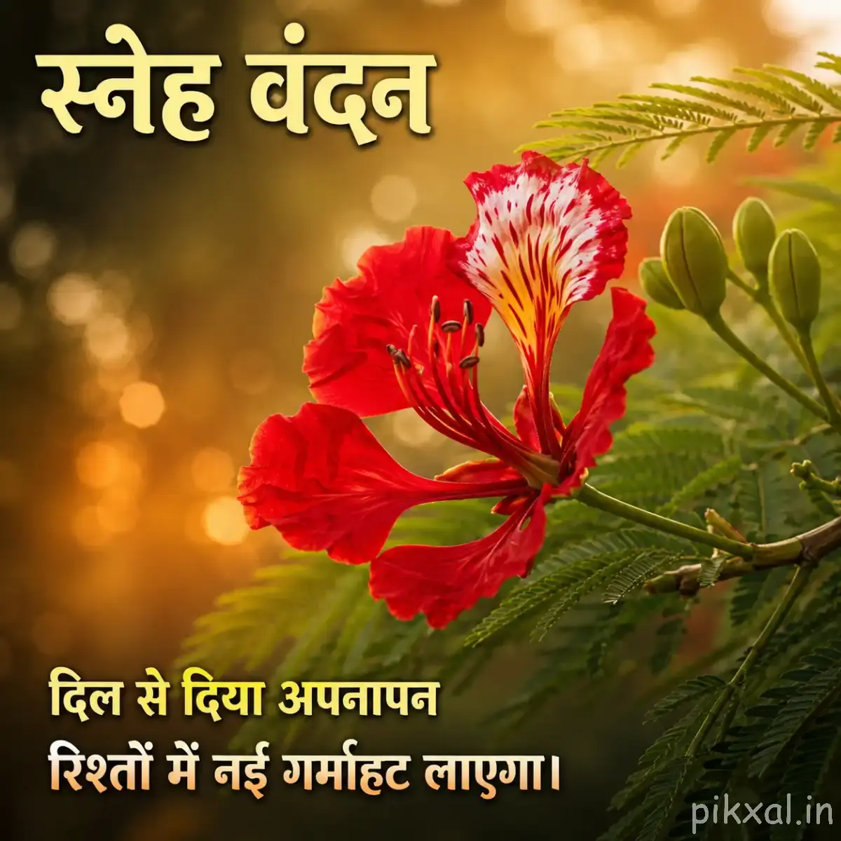 Red flowers with ruffled petals and prominent stamens on a leafy branch against warm blurred sunlight