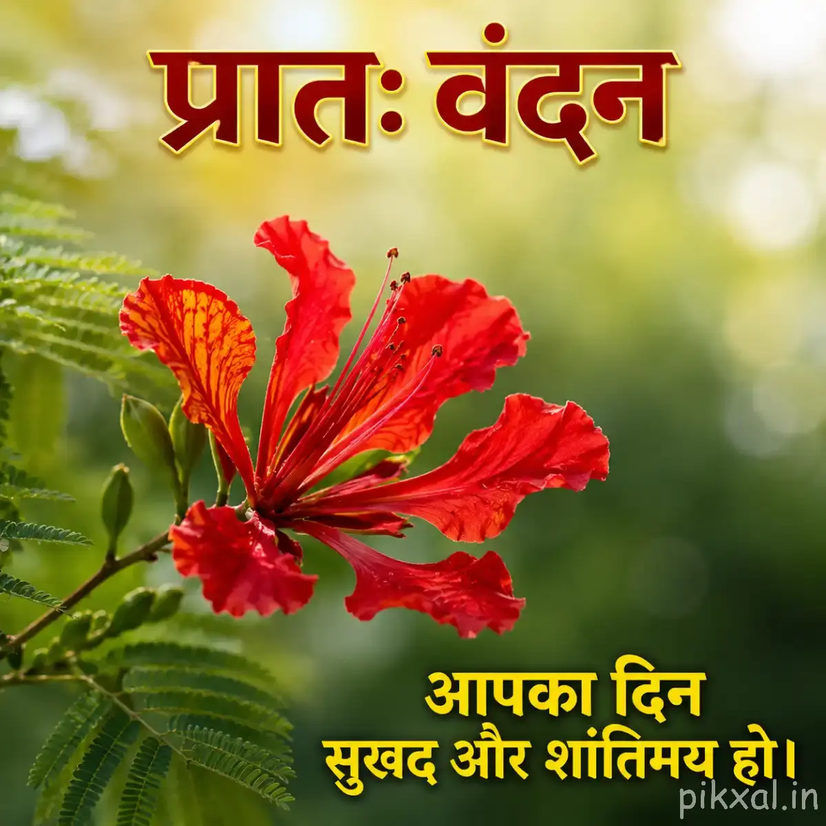 Red flowers with ruffled petals and prominent stamens surrounded by fresh green foliage, with a Hindi morning wish