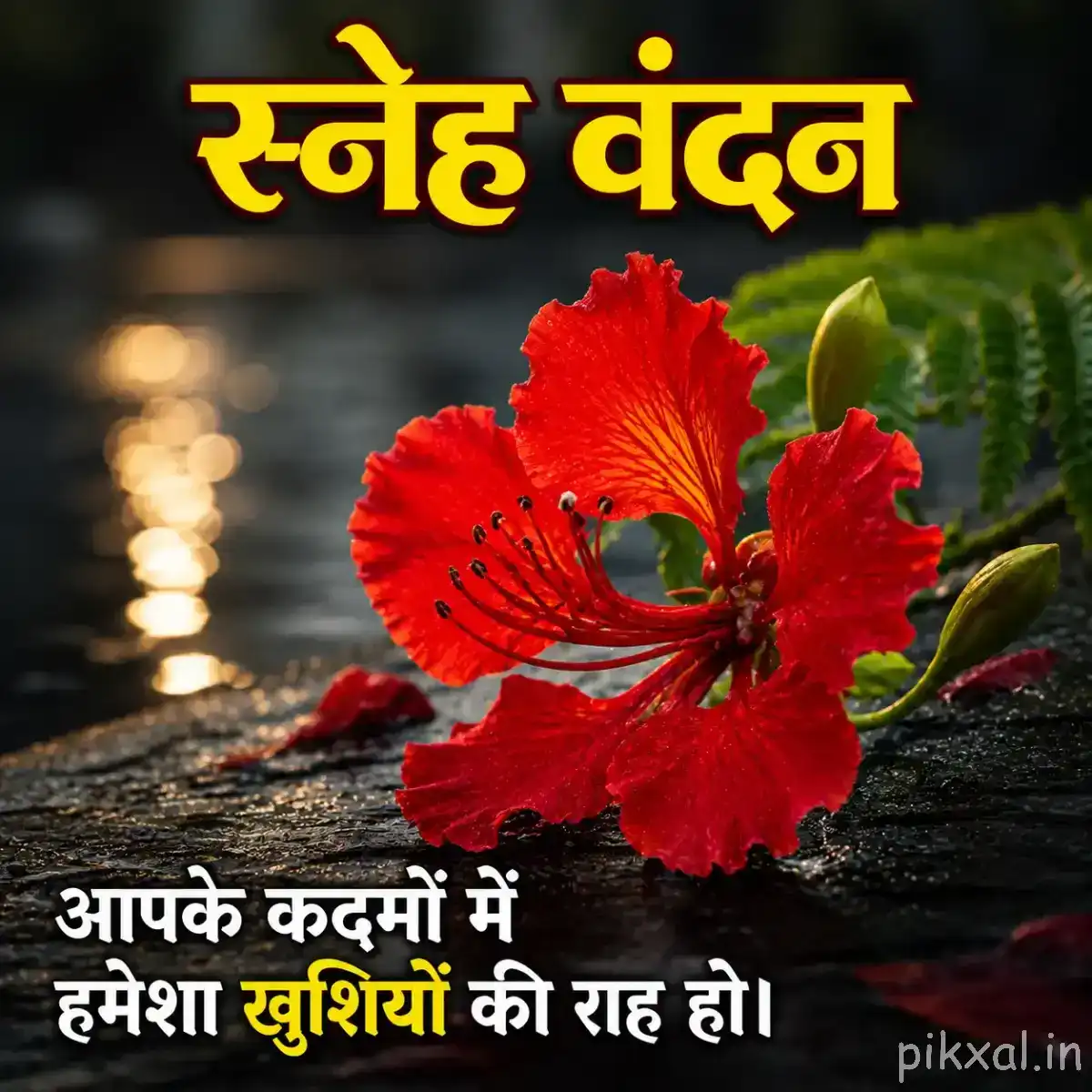Red flower with ruffled petals and unopened buds beside wet rocks and calm water