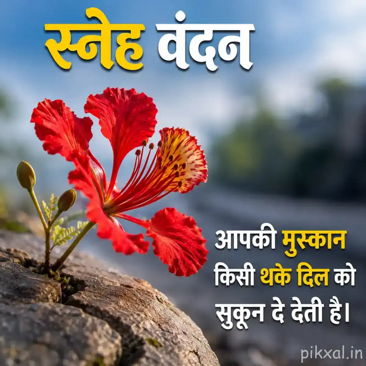 Red striped flowers with unopened buds and a Hindi Good Morning wish