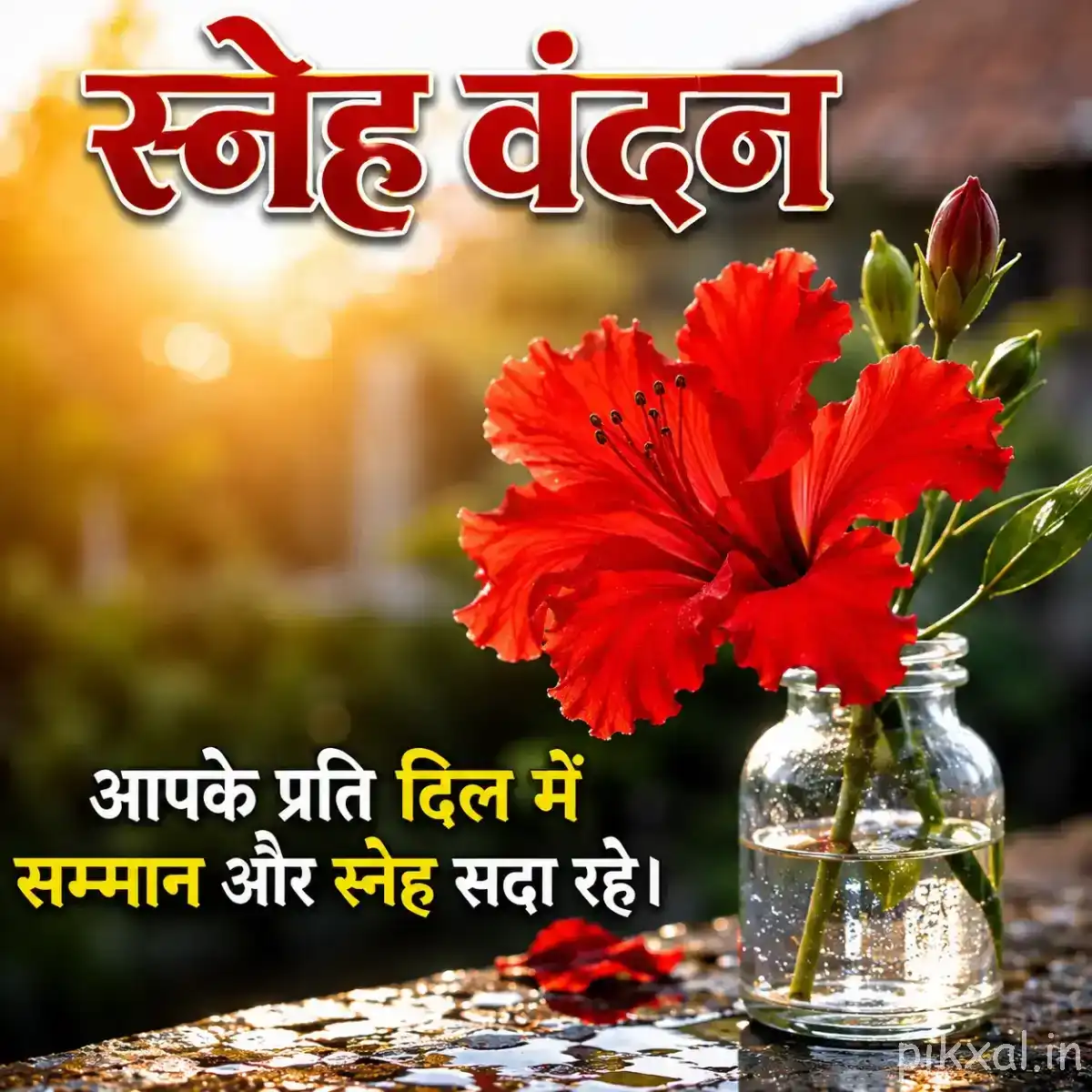 Red flower with broad ruffled petals displayed in a small glass vase beside water