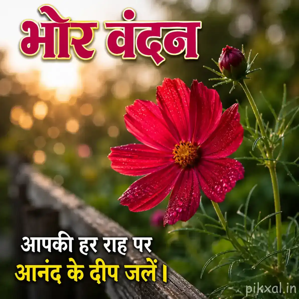 Red flower with broad rounded petals and a yellow center beside an unopened bud, with a Hindi morning wish