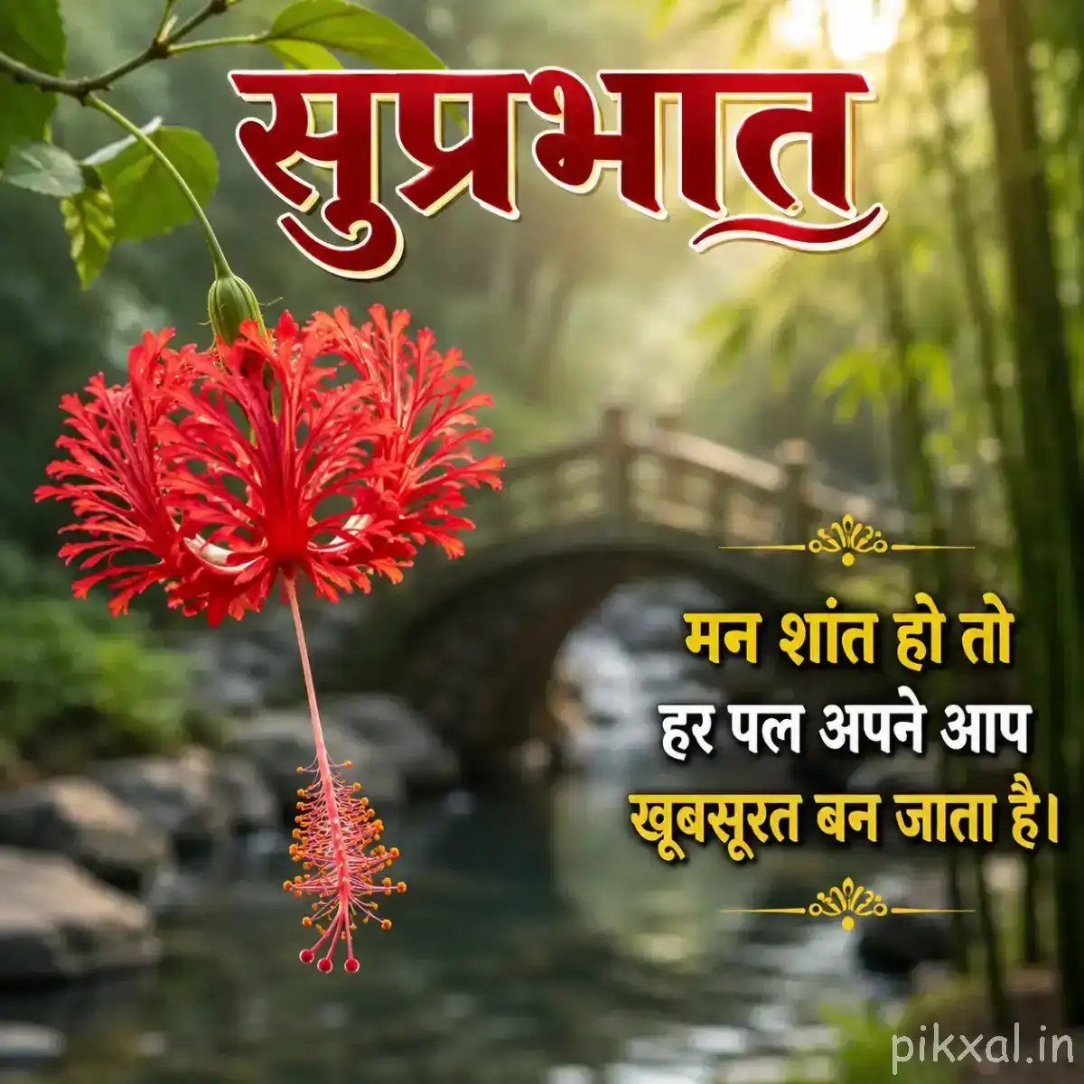 Red flower with finely fringed petals and long drooping stamens beside a rocky stream