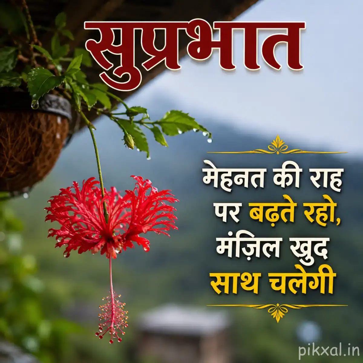 Red flower with finely fringed petals and long drooping stamens on a leafy branch against a blurred garden background
