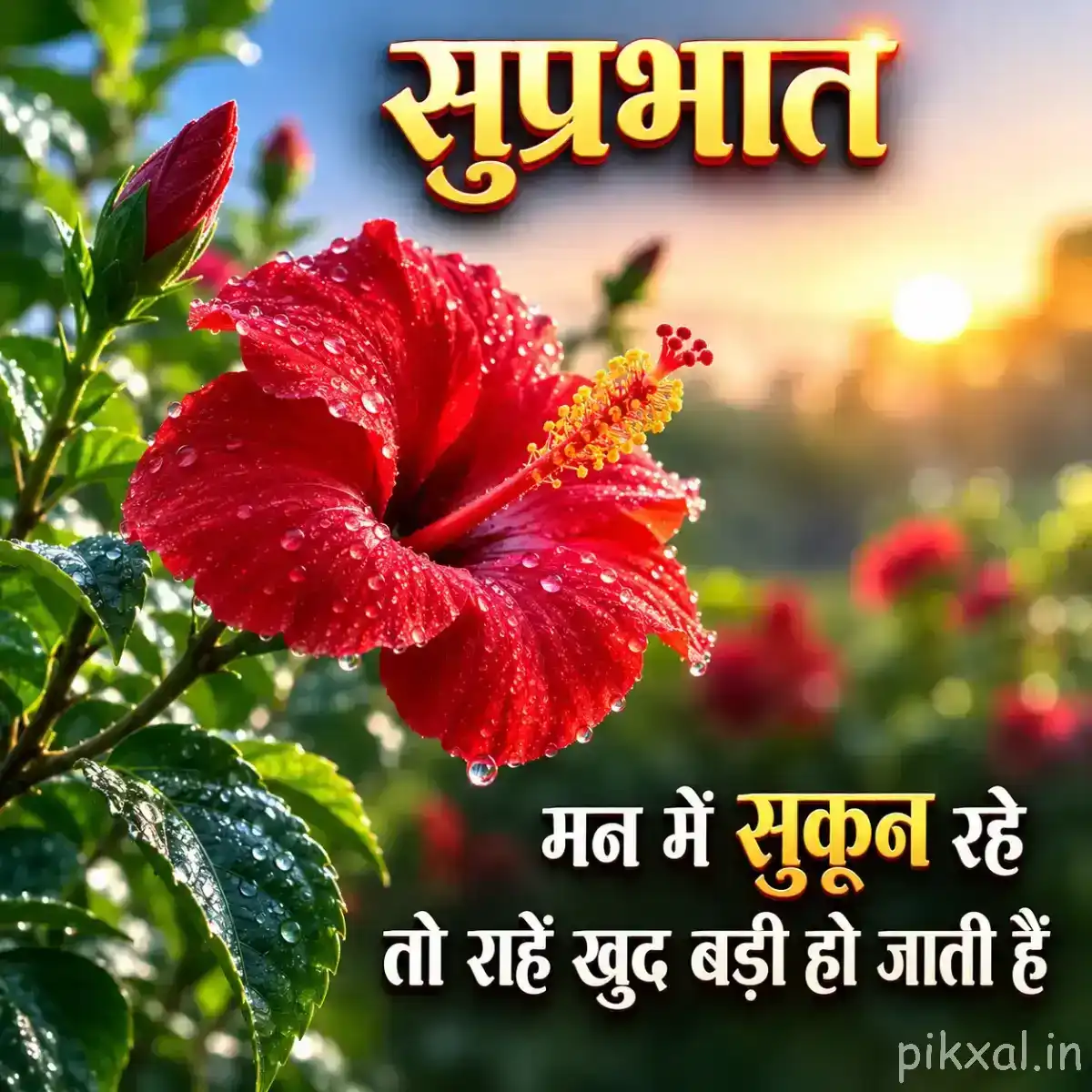 Red flower with ruffled petals and prominent stamens among glossy green leaves in warm sunlight