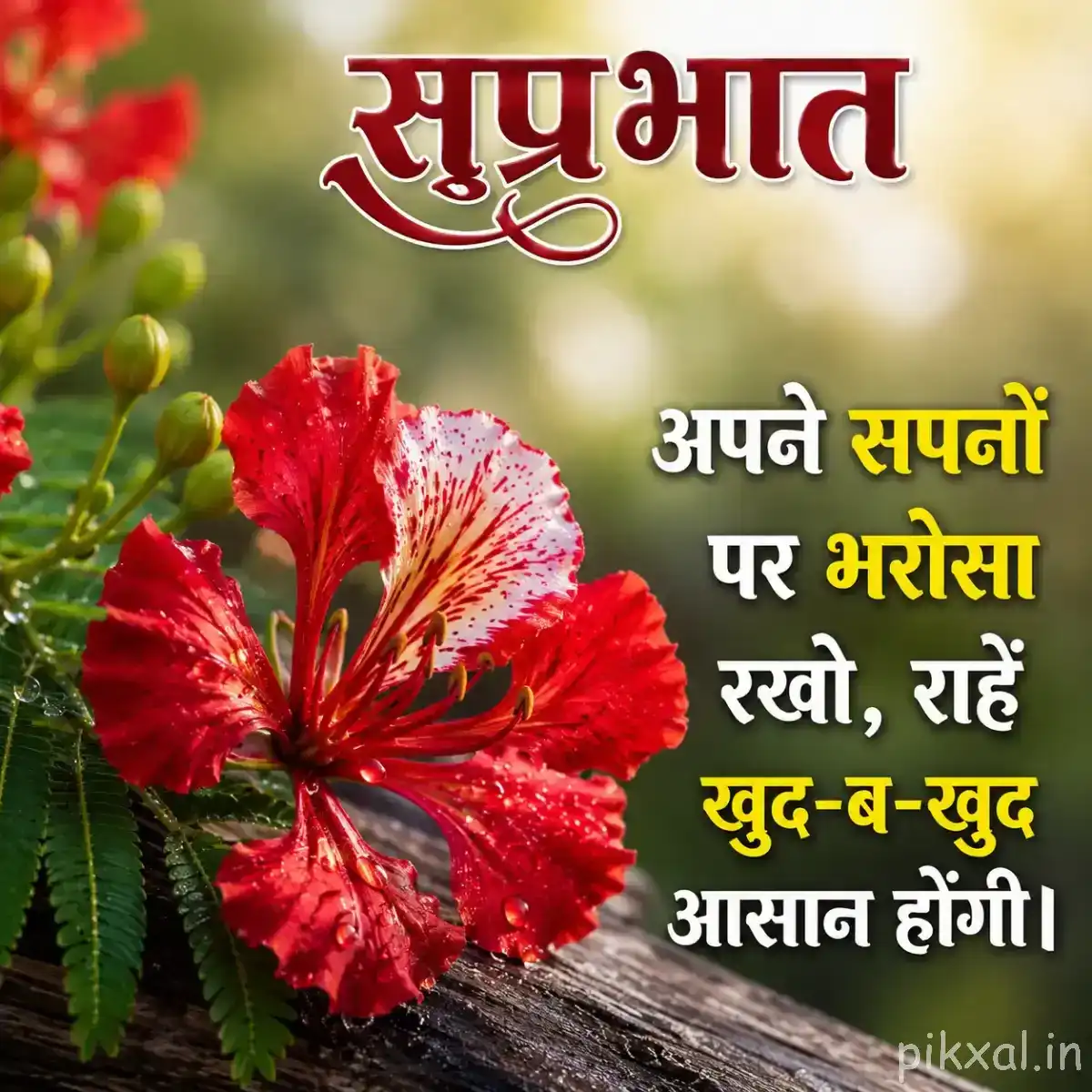 Red flowers with ruffled petals and prominent stamens among green leaves with a Hindi morning wish