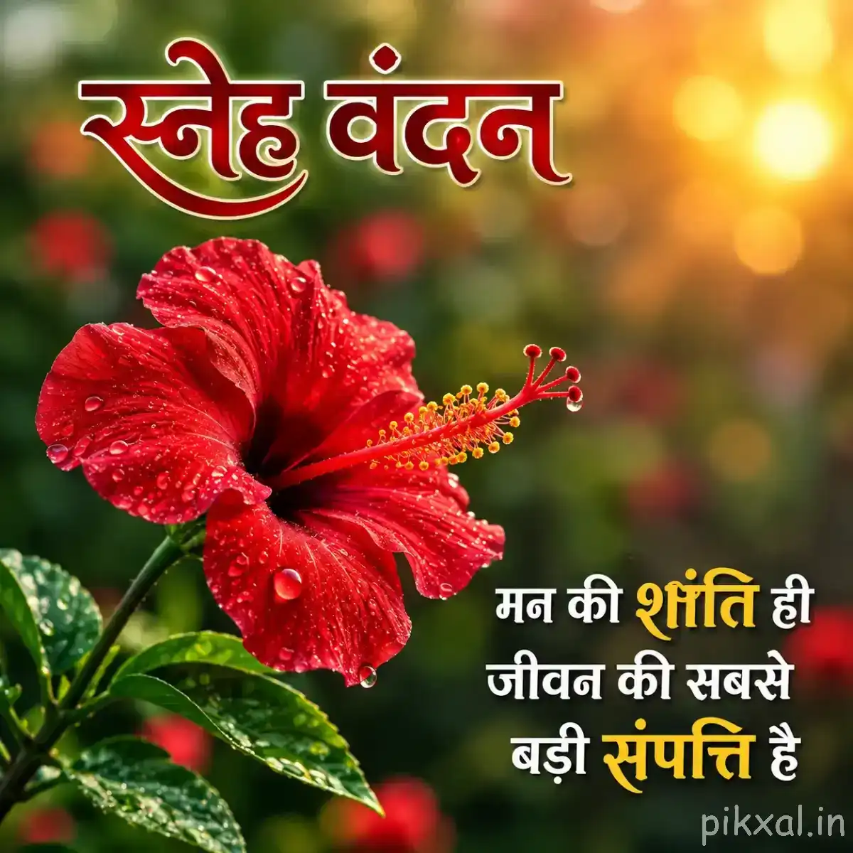 Single red flower with broad ruffled petals and prominent stamens among glossy green leaves