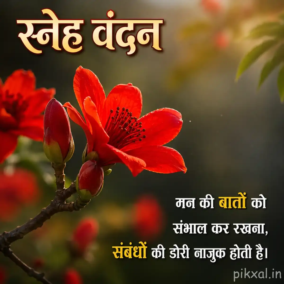 Red-orange flower with broad petals and unopened buds on a leafy stem against warm sunlight