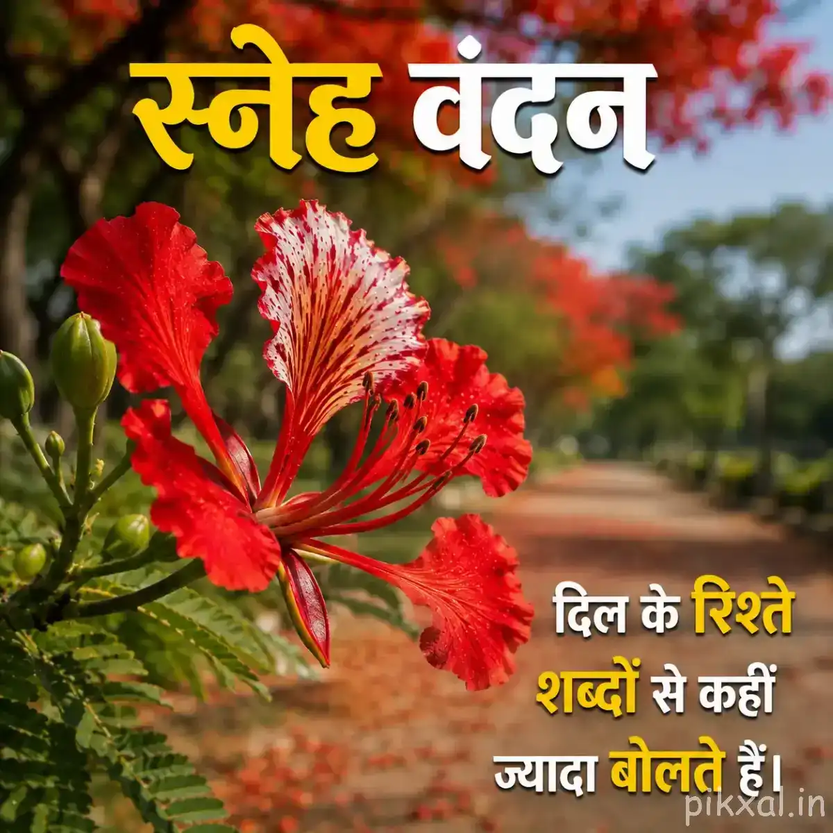 Red striped flowers on leafy branches with a Hindi morning quote