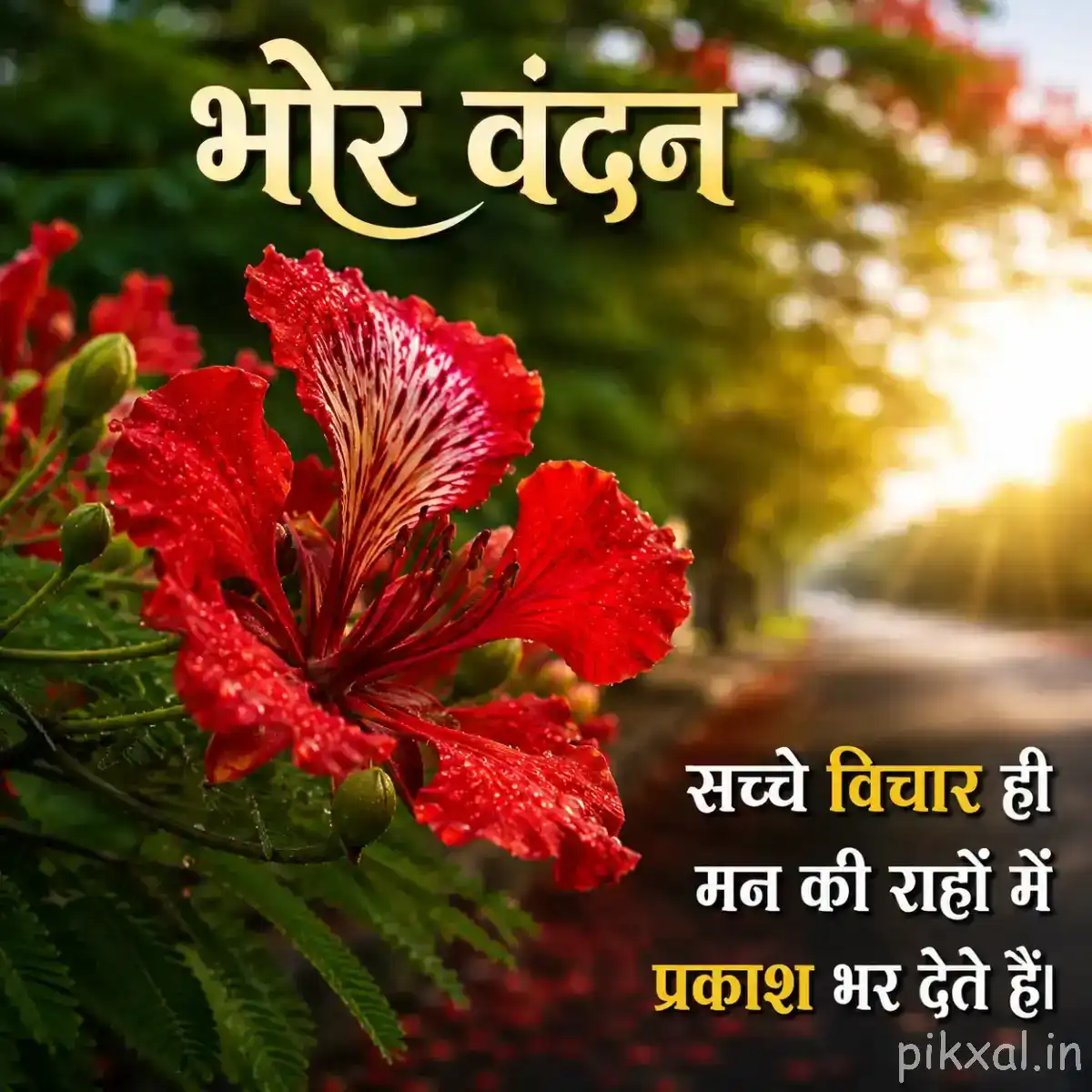 Red flowers with ruffled petals and prominent stamens among green foliage against warm golden light