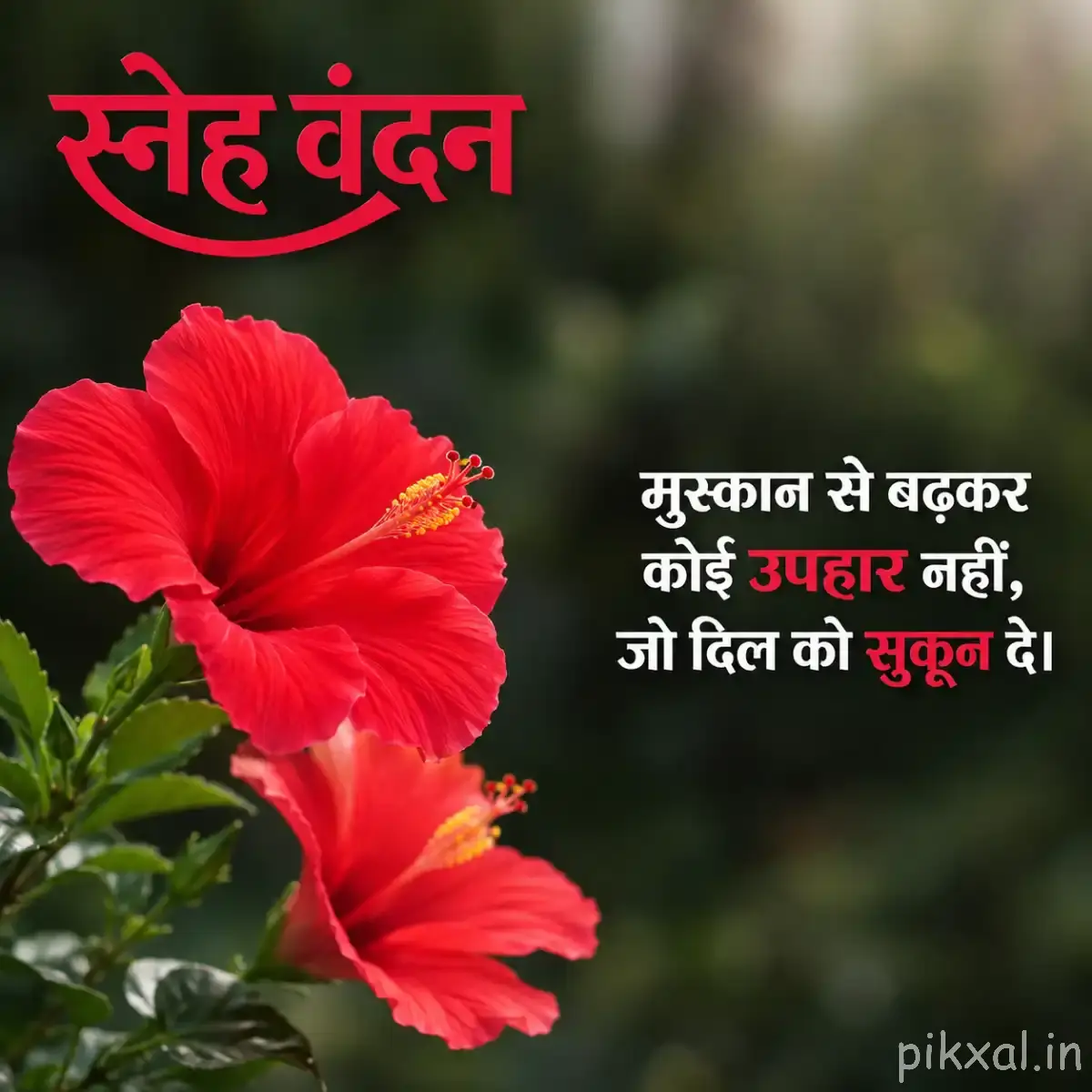 Several red flowers with ruffled petals and prominent stamens against softly blurred green foliage