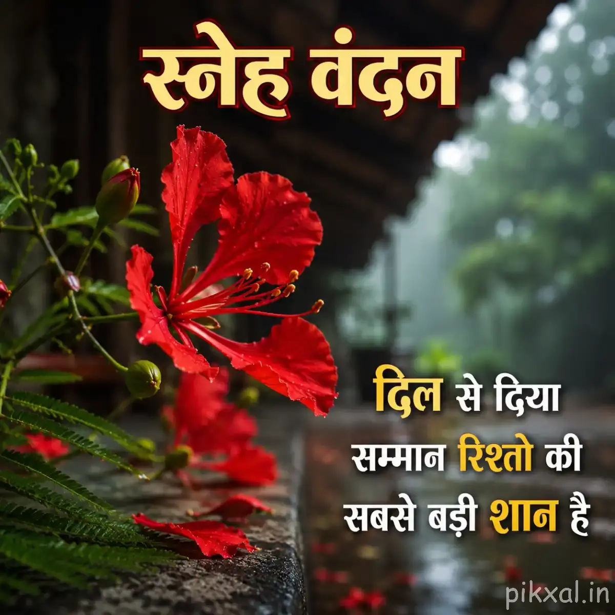 Red flowers with ruffled petals growing along green stems against a softly blurred background