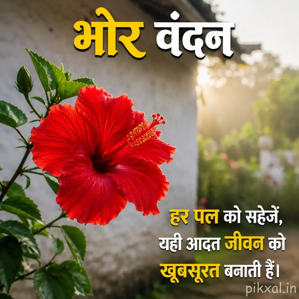 Bright red flower with green leaves beside water and a Hindi morning wish