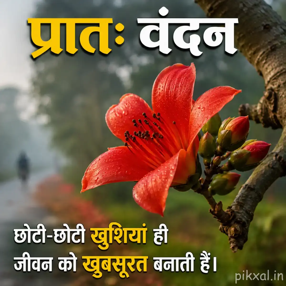 Orange-red flowers with buds on a woody branch and a Hindi morning wish