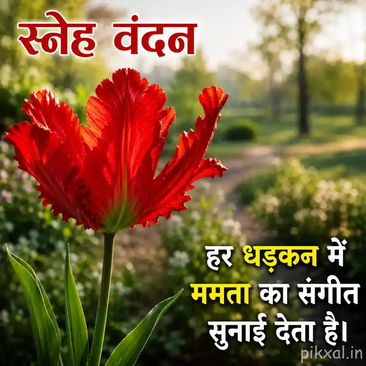 Red flowers with narrow upright petals growing along a leafy branch in warm sunlight