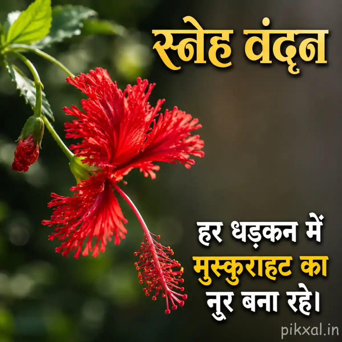 Red flower with finely fringed petals and long drooping stamens against softly blurred greenery