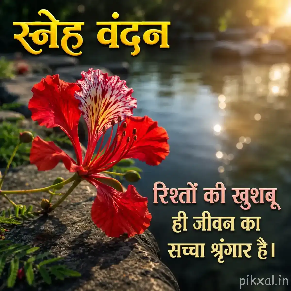 Red flowers with ruffled petals and prominent stamens beside calm water and wet rocks