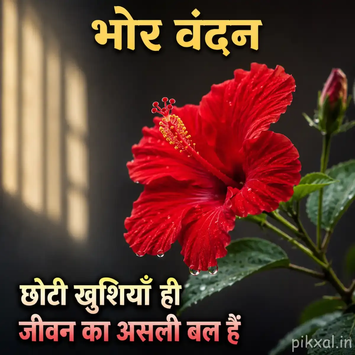 Red flower with green leaves and a Hindi morning message