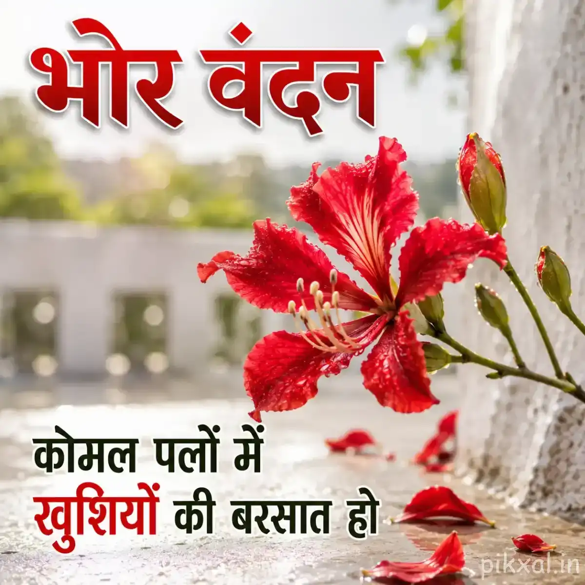 Red striped flowers with unopened buds and a Hindi morning message