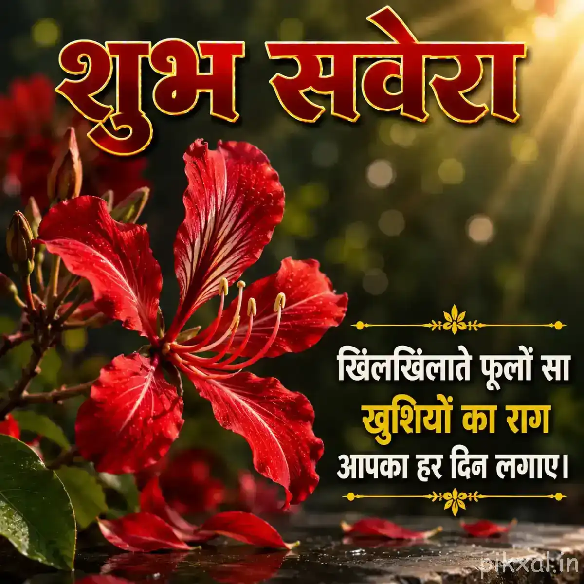 Red flowers with long stamens and a Hindi morning wish