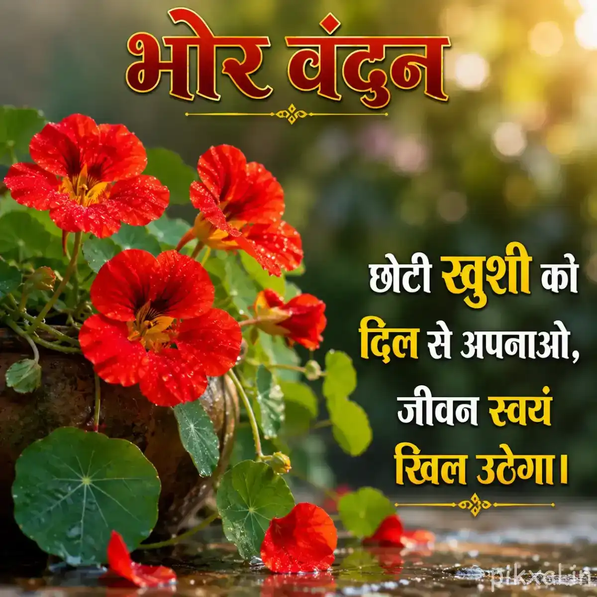 Red flowers with dark centers and rounded petals among broad green leaves, with a Hindi morning wish