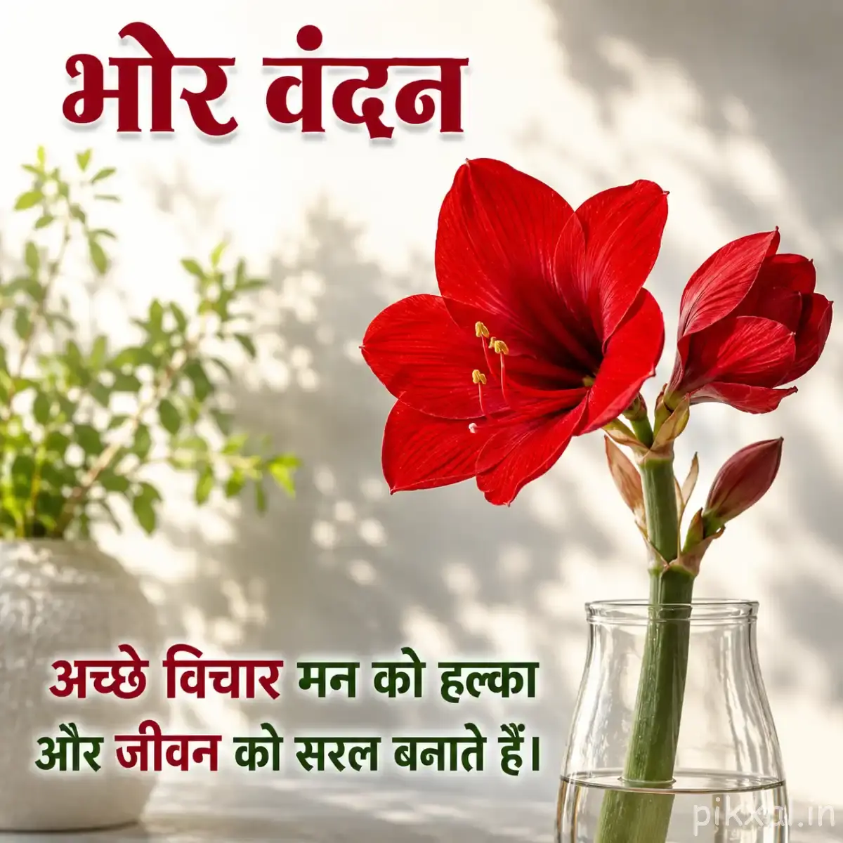 Red flowers with broad petals and prominent stamens displayed in a clear glass vase with a Hindi morning message