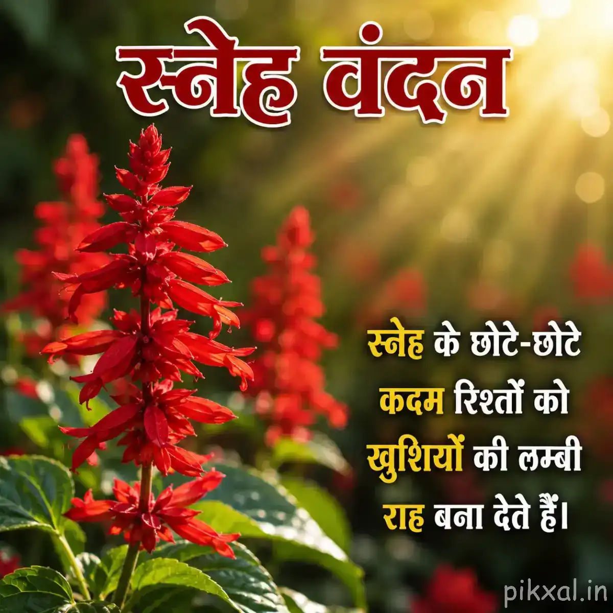 Small red flowers arranged densely along upright flowering spikes with green foliage and a Hindi morning message