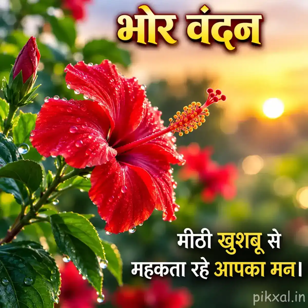 Single large red flower with ruffled petals and prominent stamens among green leaves in warm sunlight