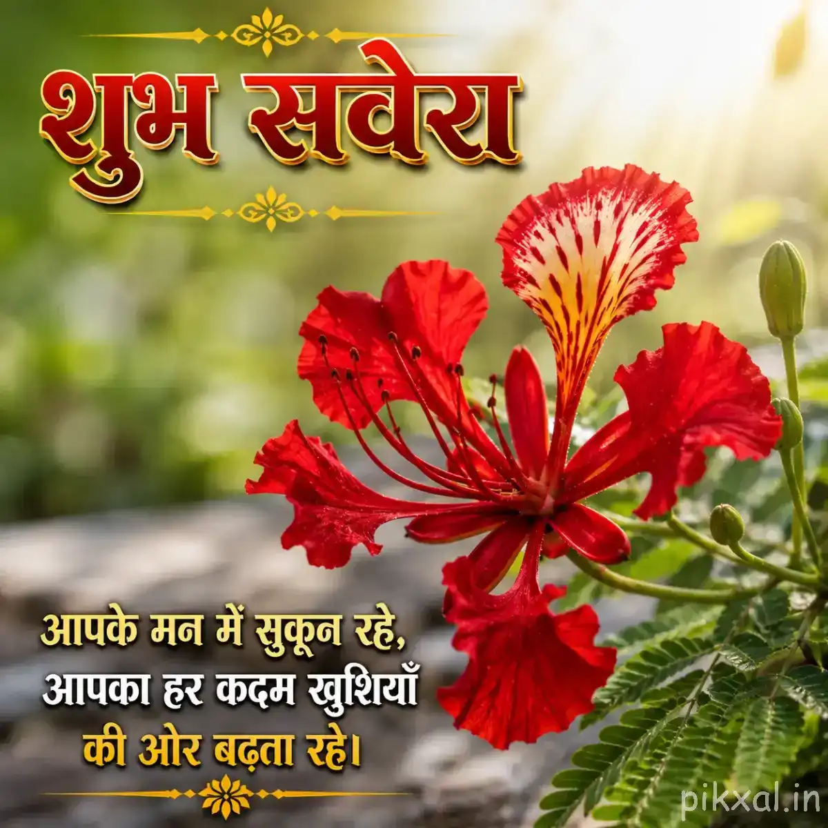 Red flowers with ruffled petals and prominent stamens among green foliage, with a Hindi morning wish