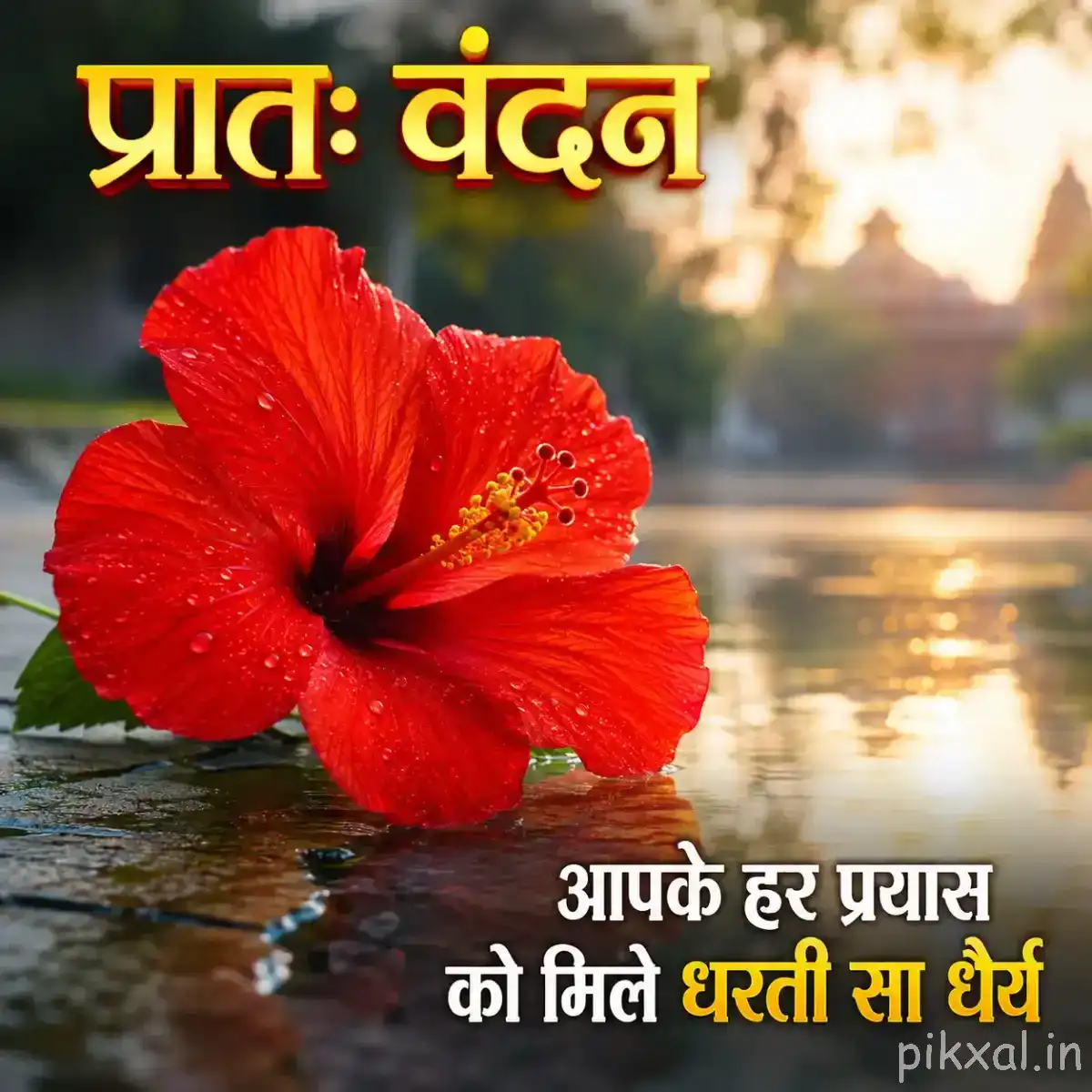 Large red flower with broad rounded petals beside calm water and a softly glowing morning background