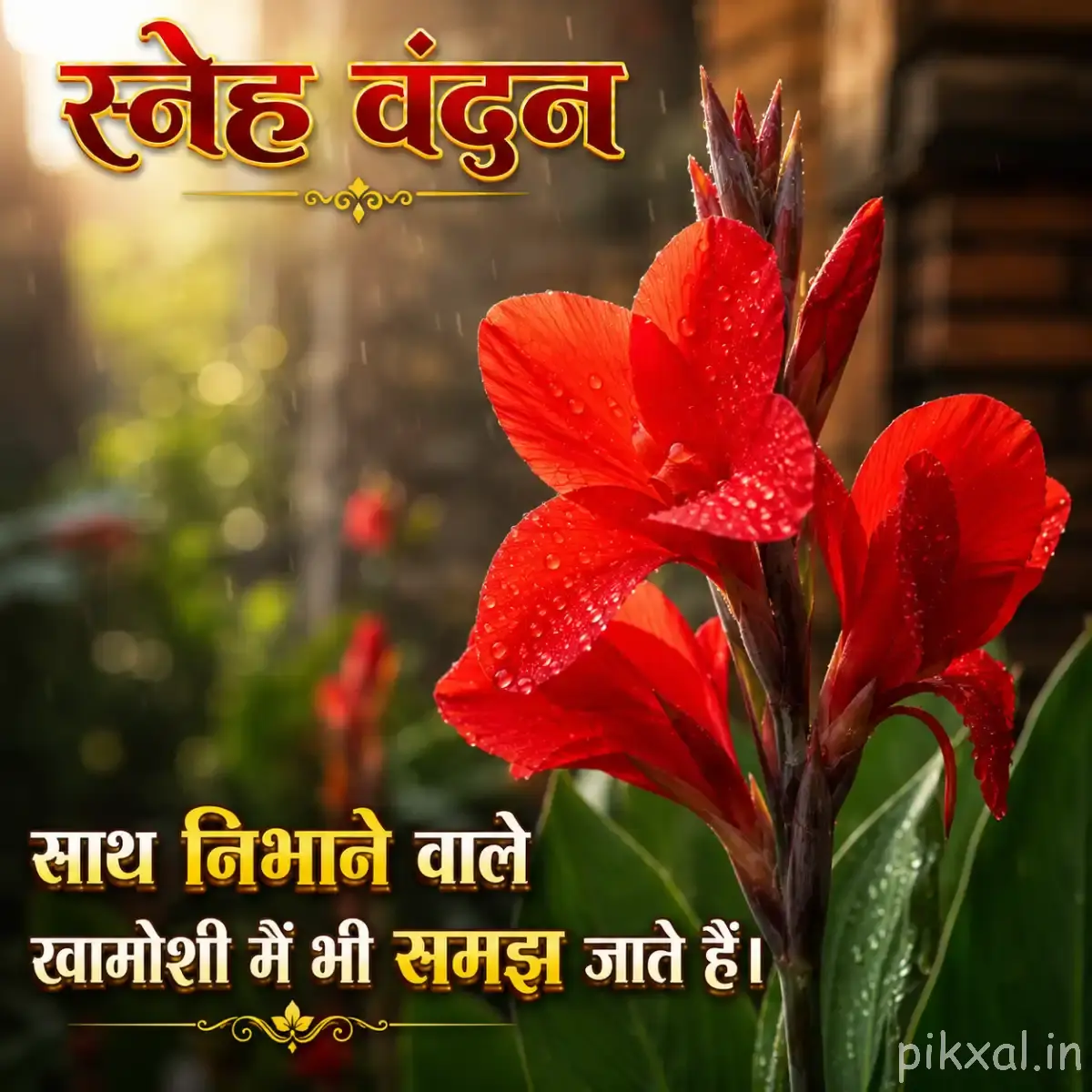 Two red-orange flowers with ruffled petals and prominent stamens on leafy stems against a dark background