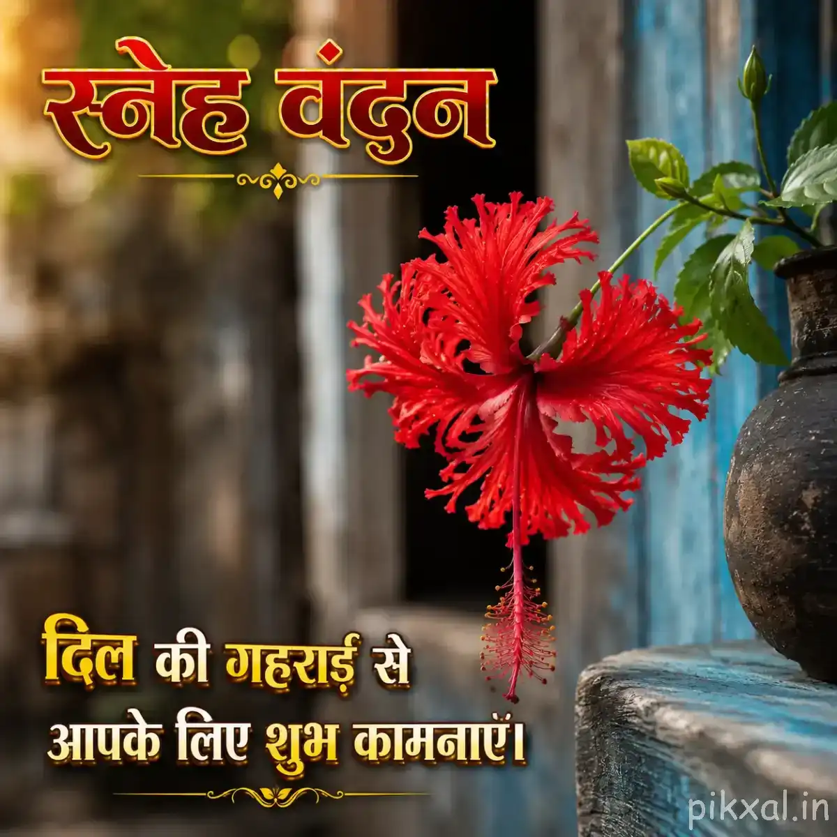 Single red flower with finely fringed petals and prominent stamens beside green foliage and a rustic blue wall