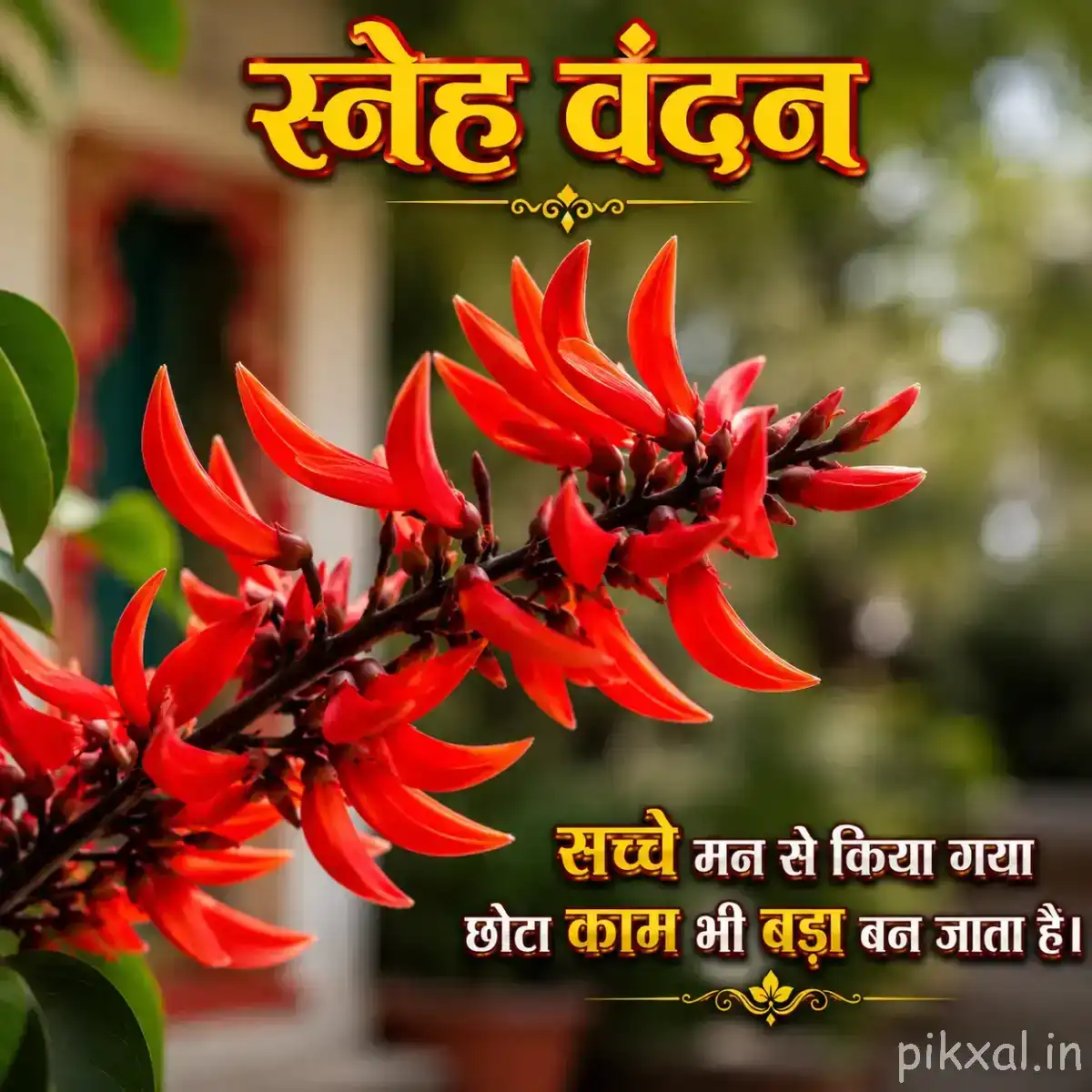 Several red flowers with long curved petals arranged along a branching stem against blurred greenery