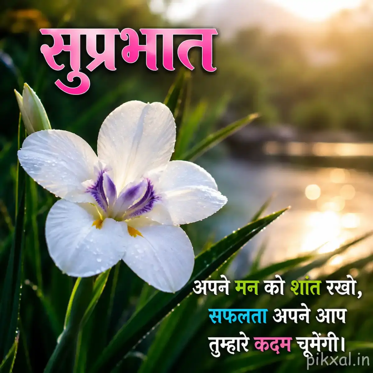 White flower with a purple center and green leaves with a Hindi Good Morning wish