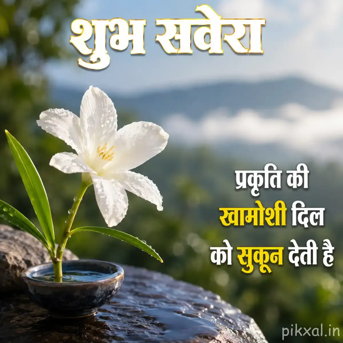 White flower with narrow petals in a pot with a Hindi morning wish
