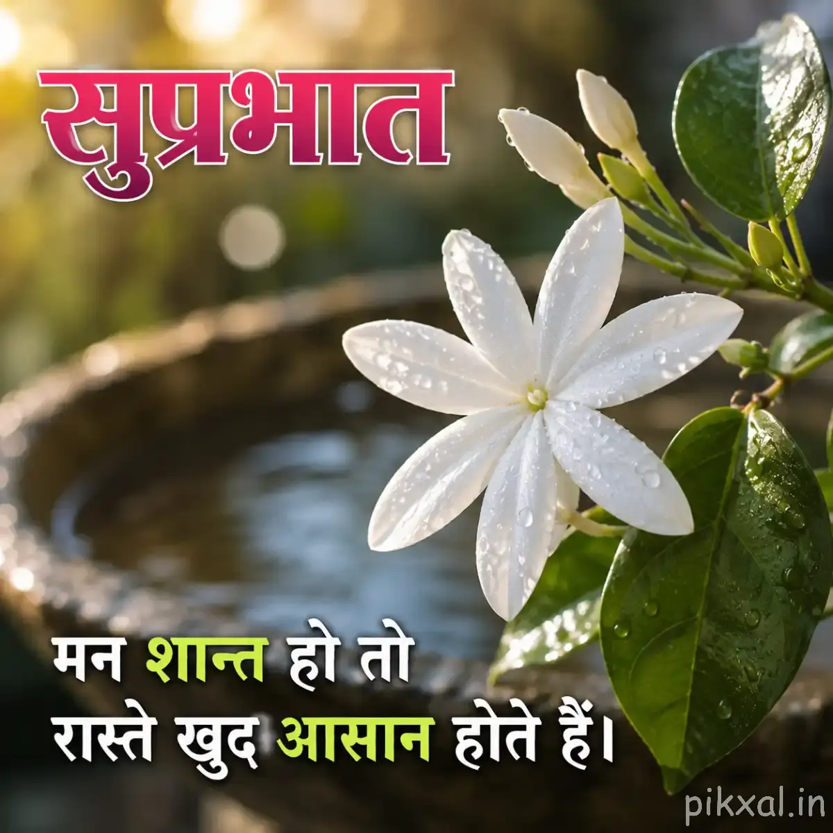 White star-shaped flower with green leaves and a Hindi Good Morning quote