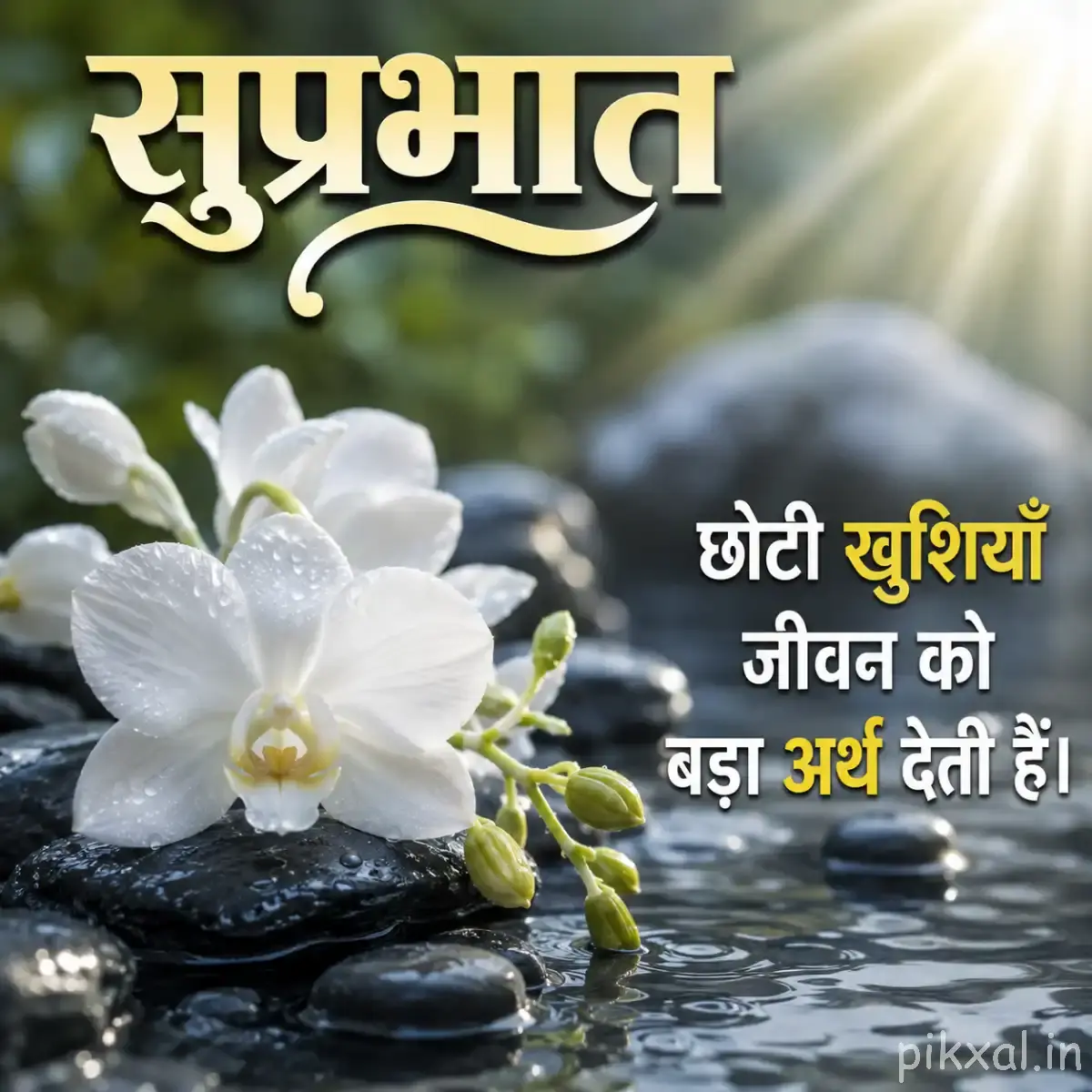White flowers beside water with green leaves and a Hindi Good Morning message