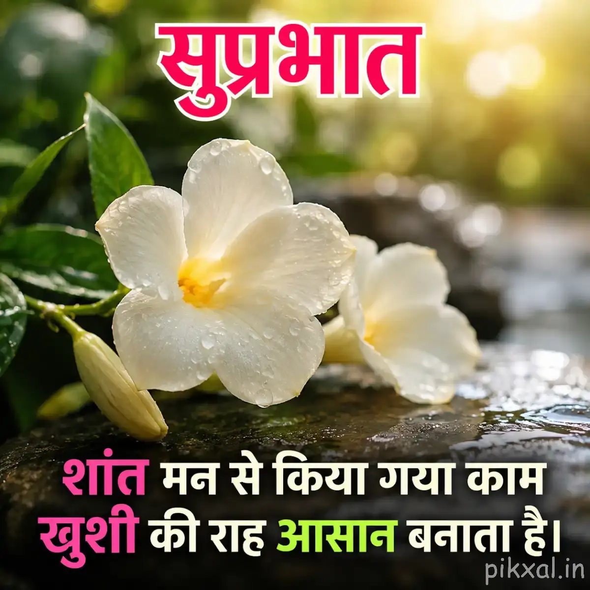 White Plumeria flowers with green leaves and a Hindi Good Morning quote