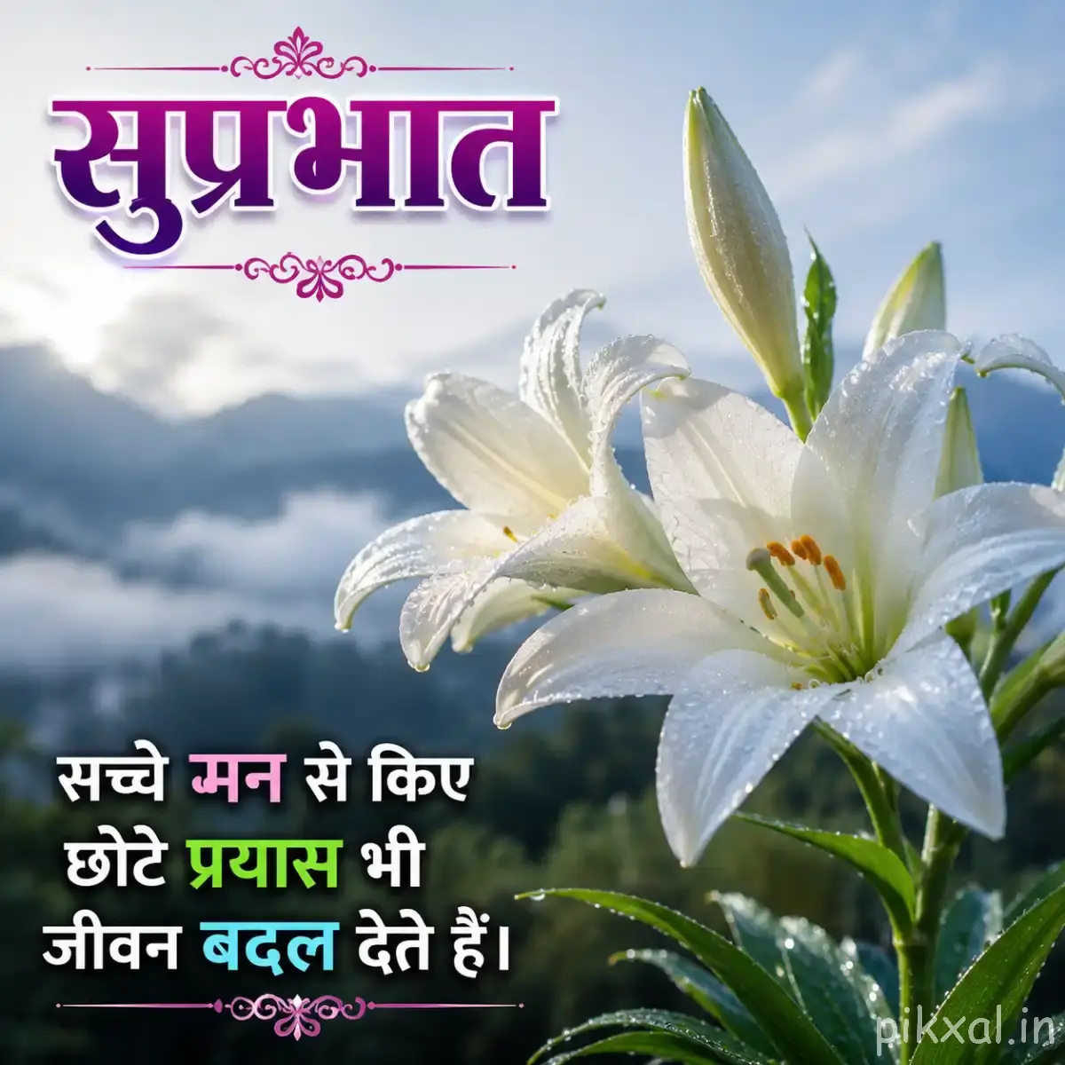White flower with narrow petals and green leaves with a Hindi Good Morning quote