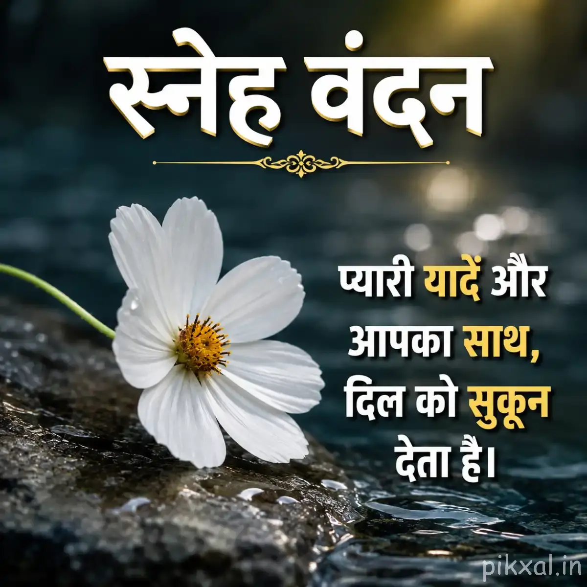 White flower with yellow center and a Hindi morning wish