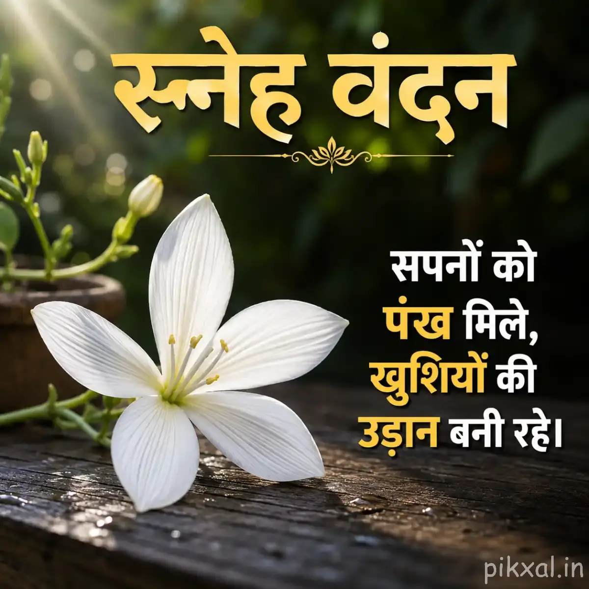 White star-shaped flowers with green leaves and a Hindi morning wish