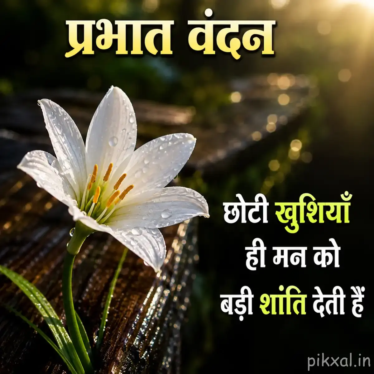 White lily like with long stamens and a Hindi morning wish