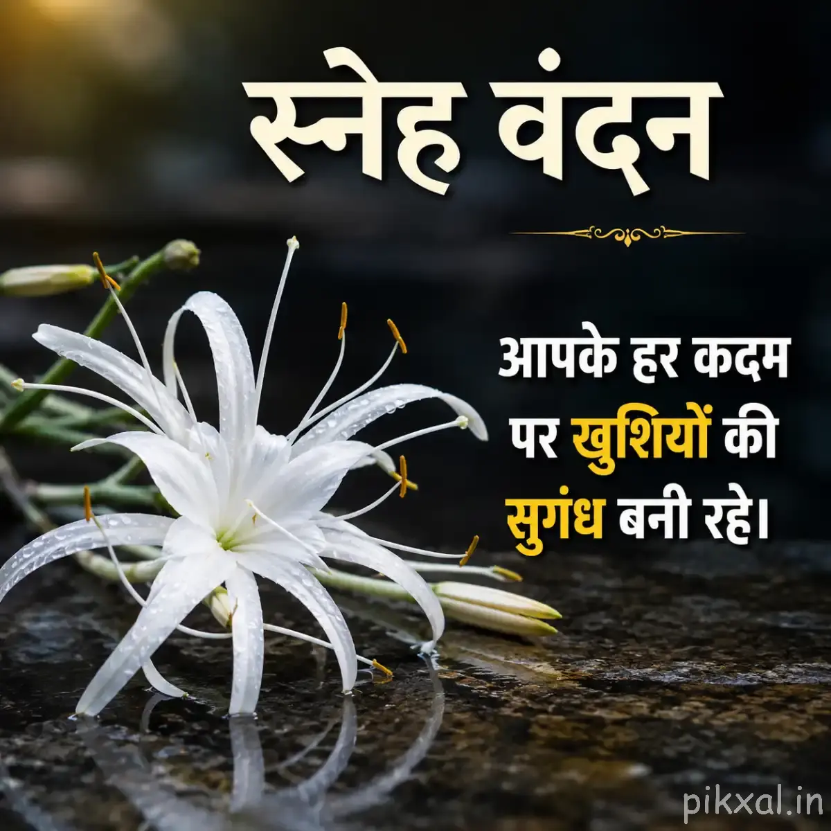White spider lily with long stamens and a Hindi morning wish