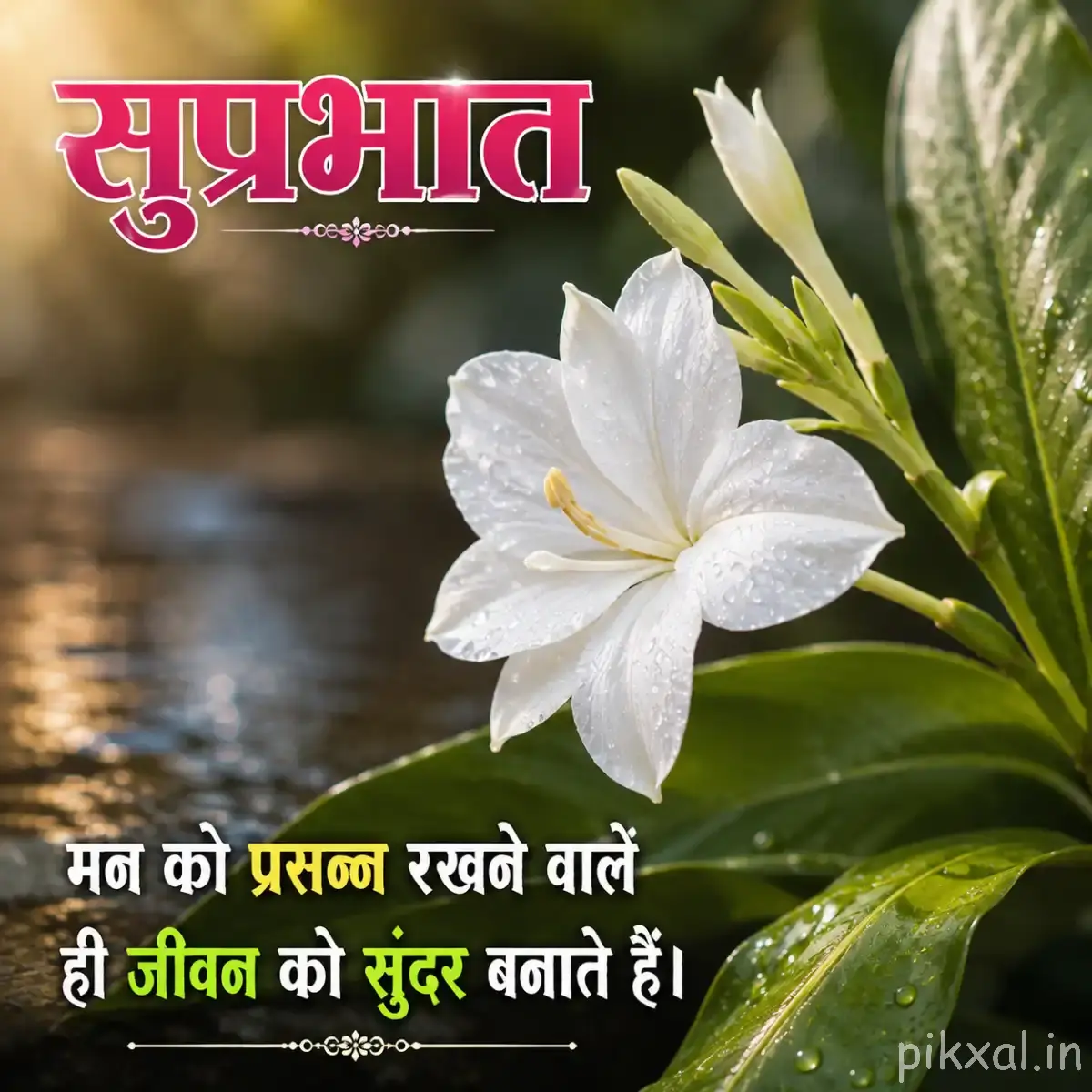 White flower with big green leaves and a Hindi Good Morning message