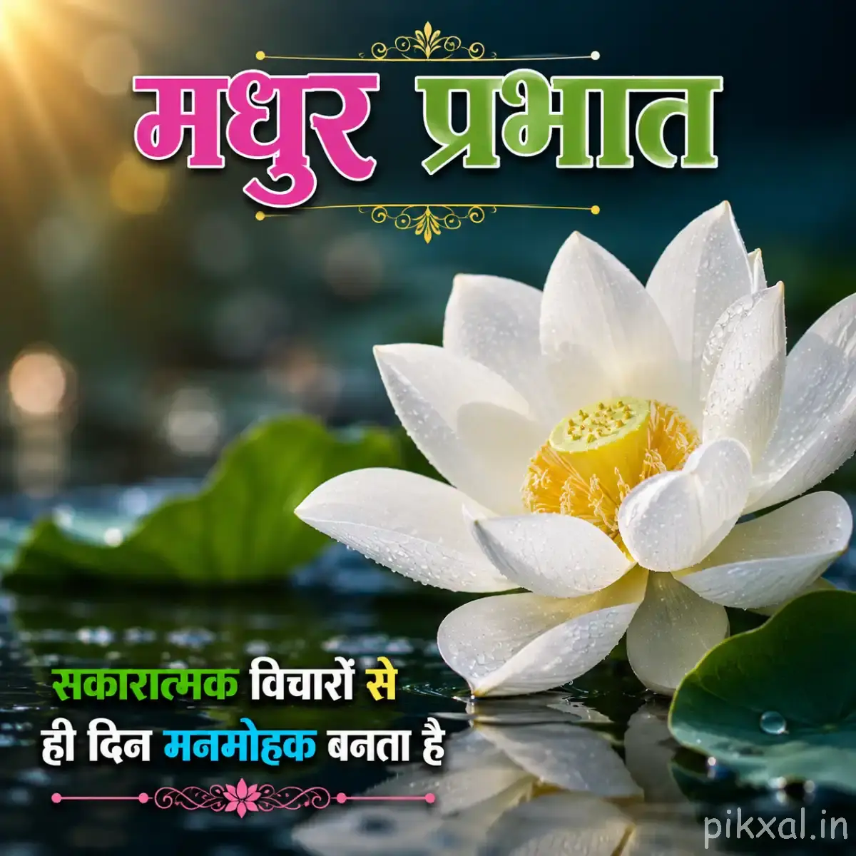 White lotus flower with yellow center and green lily pads with a Hindi morning wish